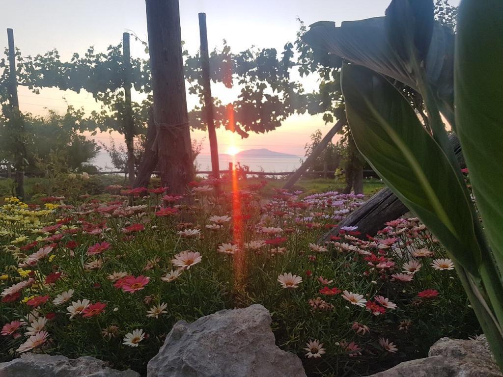 Agriturismo Del Sole Anacapri  Bagian luar foto