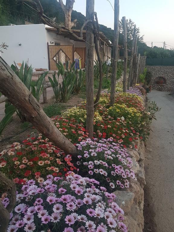 Agriturismo Del Sole Anacapri  Bagian luar foto